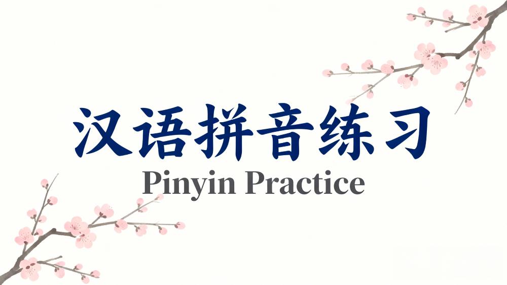 Pinyin practice